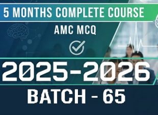 AMC - 5 months